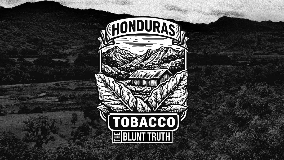 dominican republic tobacco leaf illustration with cigar tobacco landscape