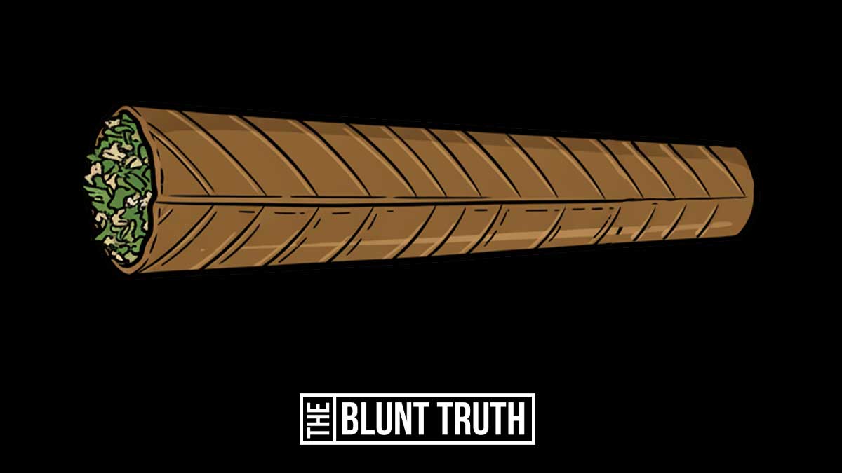 how to roll a blunt evenly with a tobacco leaf wrap