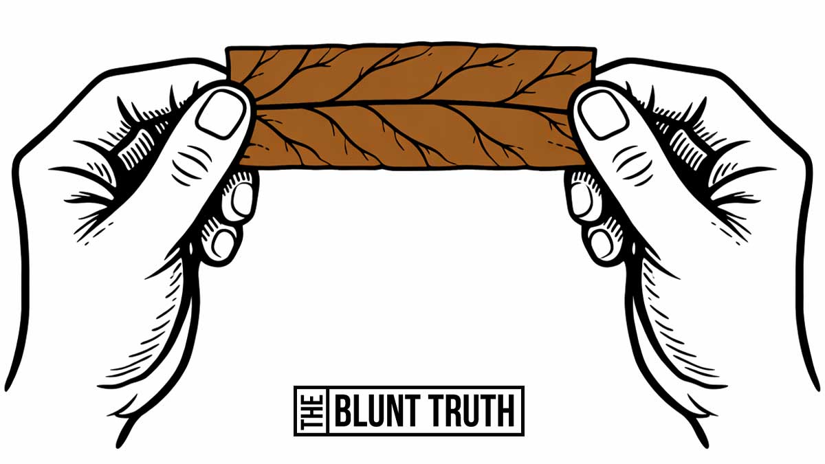 How to prepare a blunt wrap - hands inspecting a brown tobacco leaf wrap for flexibility and quality before rolling