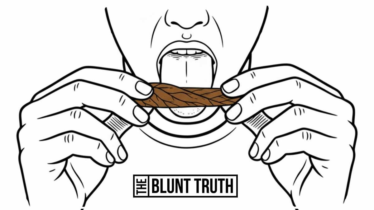 Sealing a blunt - mouth licking the seam of a tightly rolled brown tobacco wrap to create a secure seal