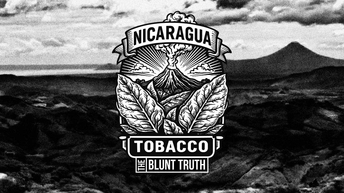 dominican republic tobacco leaf illustration with cigar tobacco landscape