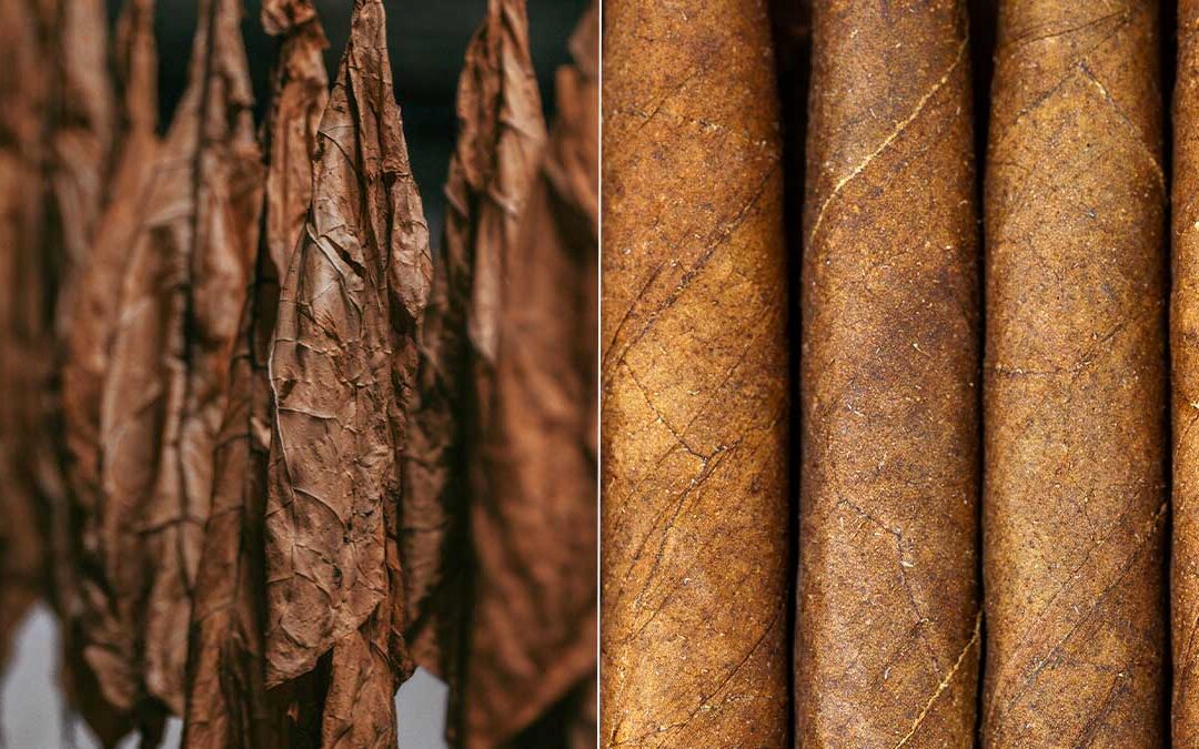 Premium Blunt Wraps Explained