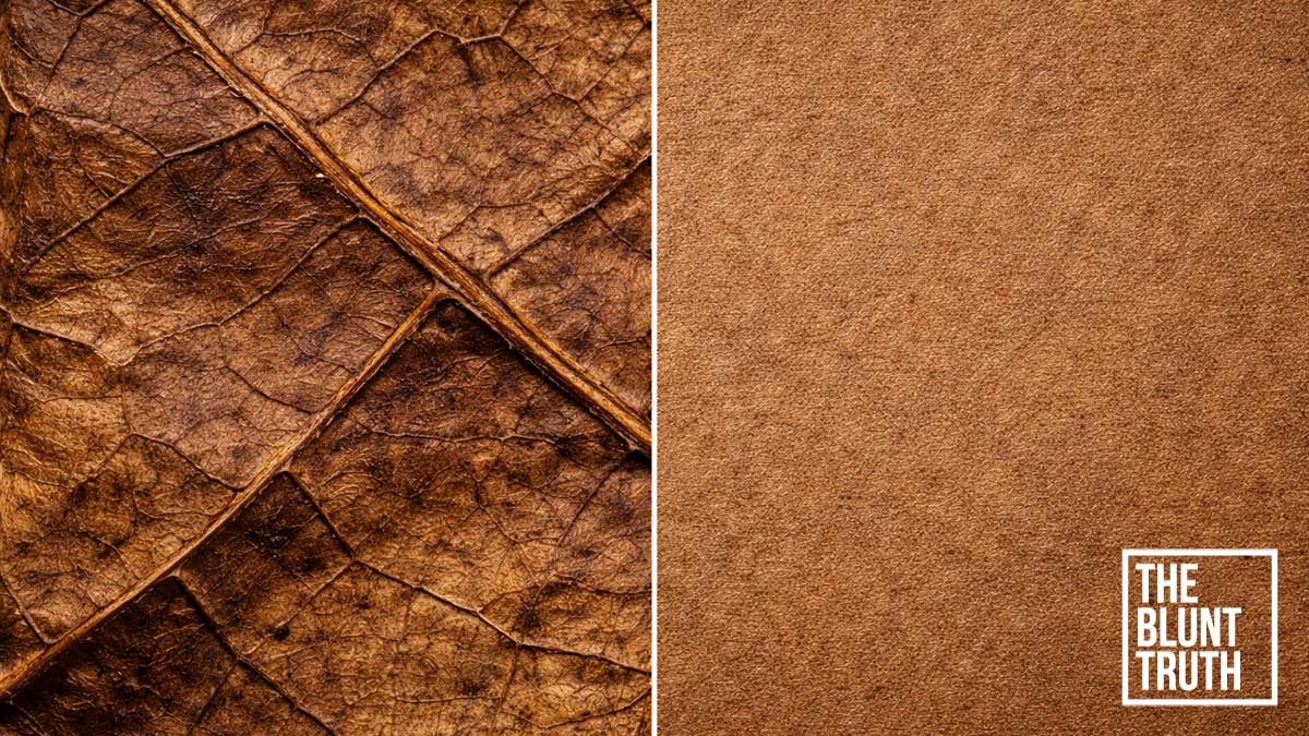 Macro comparison of natural tobacco leaf veins and smooth homogenized tobacco wrap material