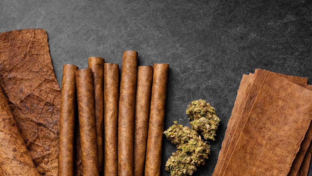 Natural tobacco leaf blunt wraps with visible leaf veins, rolled blunts, and pre-cut leaf wraps on a charcoal background